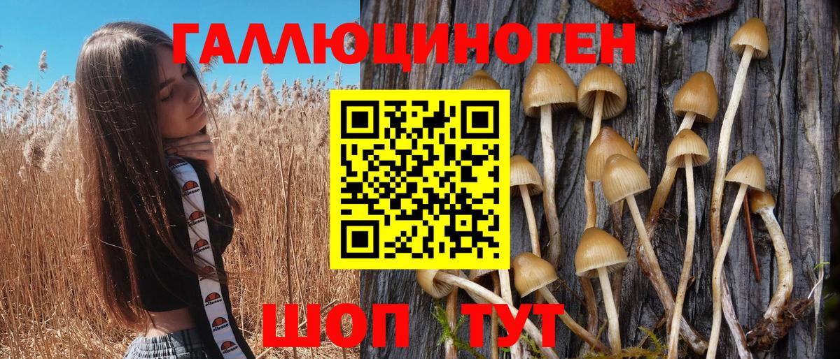 Галлюциногенные грибы Magic Shrooms Жигулёвск